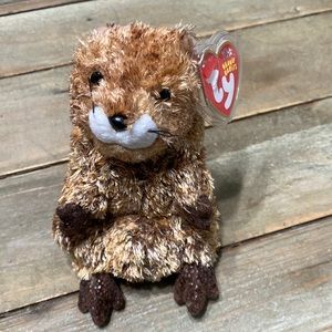 Ty Beanie Babies Baby PUNXSUTAWN-E PHIL Groundhog Rare Vintage Collectible Plush